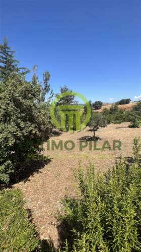 Moradia Isolada  - Bragança