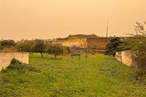 Quintinha  Venda em Estremoz (Santa Maria e Santo André),Estremoz