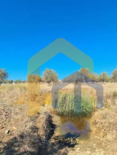 Quintinha  Venda em Santo Aleixo,Monforte