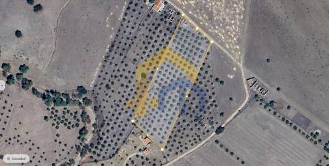 Quintinha  Venda em Santo Aleixo,Monforte