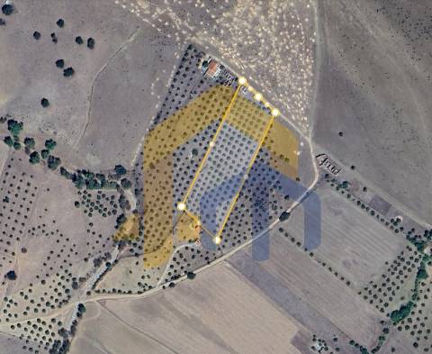 Quintinha  Venda em Santo Aleixo,Monforte