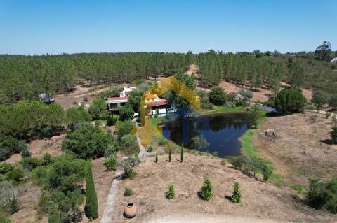 Quinta com Casa e Lago em Alcórrego - Avis