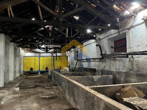 Emblemática Adega Vinhos Ramalho em Estremoz