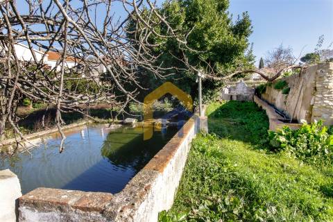 Quintinha >=T10 Venda em Estremoz (Santa Maria e Santo André),Estremoz