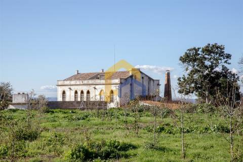 Quintinha >=T10 Venda em Estremoz (Santa Maria e Santo André),Estremoz
