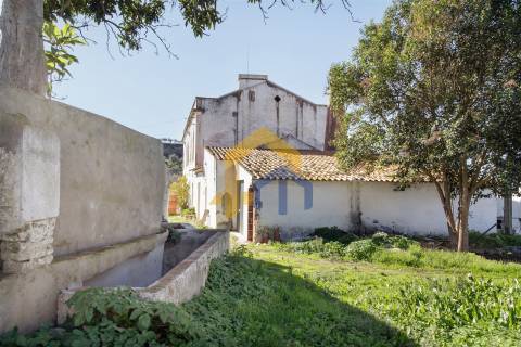 Quintinha >=T10 Venda em Estremoz (Santa Maria e Santo André),Estremoz