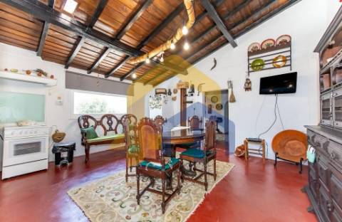 Quinta T3 em São Lourenço de Mamporcão - Estremoz