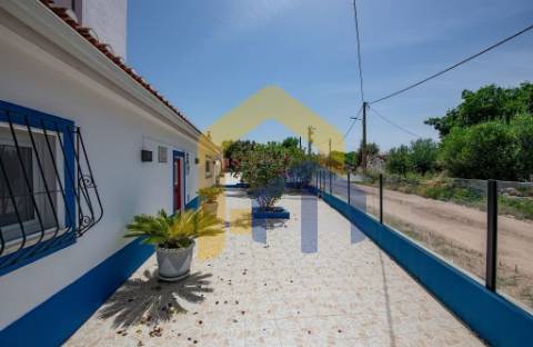 Quinta T3 em São Lourenço de Mamporcão - Estremoz
