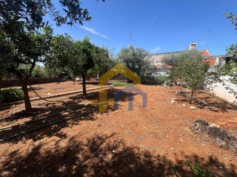 Moradia T4, no centro de Estremoz com quintal