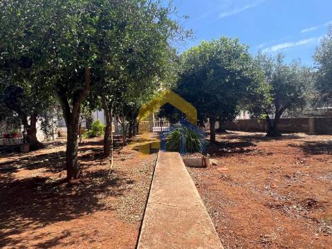 Moradia T4, no centro de Estremoz com quintal