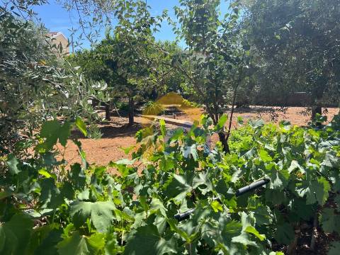 Moradia T4, no centro de Estremoz com quintal