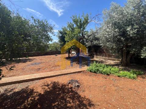 Moradia T4, no centro de Estremoz com quintal