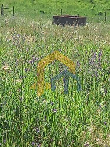 &#127969; Quintinha em Monforte