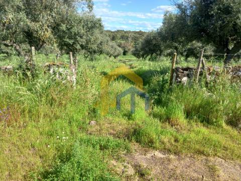 &#127969; Quintinha em Monforte