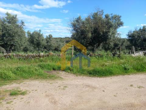 &#127969; Quintinha em Monforte