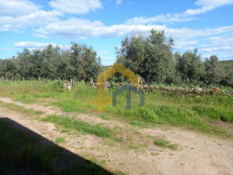 &#127969; Quintinha em Monforte