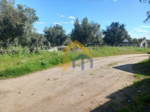 &#127969; Quintinha em Monforte