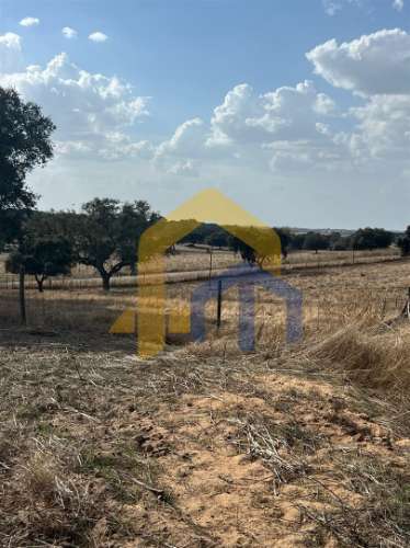 &#127969; Quintinha em Monforte