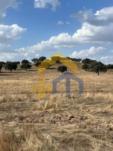 &#127969; Quintinha em Monforte