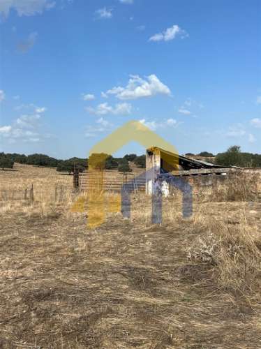 &#127969; Quintinha em Monforte