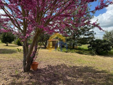 Quinta para venda em Santa Vitória do Ameixial – Estremoz