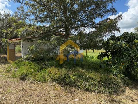 Quinta para venda em Santa Vitória do Ameixial – Estremoz