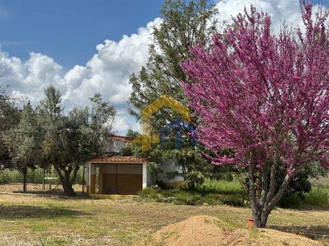 Quinta para venda em Santa Vitória do Ameixial – Estremoz
