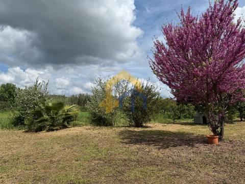 Quinta para venda em Santa Vitória do Ameixial – Estremoz