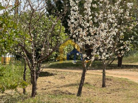 Quinta para venda em Santa Vitória do Ameixial – Estremoz