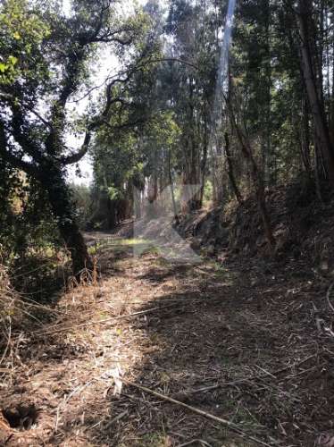 Moradia T7 em Coimbra para restaurar