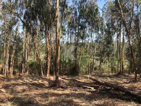 Moradia T7 em Coimbra para restaurar