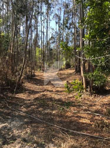 Moradia T7 em Coimbra para restaurar