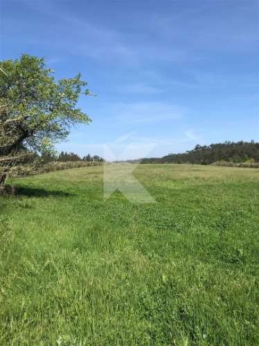 Moradia T7 em Coimbra para restaurar