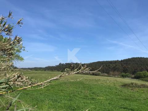 Moradia T7 em Coimbra para restaurar