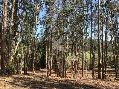 Moradia T7 em Coimbra para restaurar