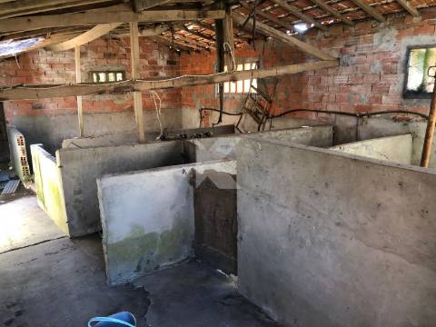 Moradia T7 em Coimbra para restaurar