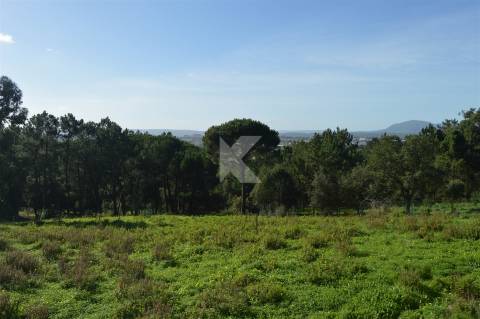 Moradia T4+1 mobilada com terreno e piscina