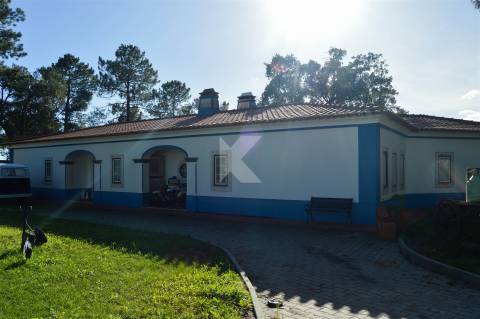 Moradia T4+1 mobilada com terreno e piscina