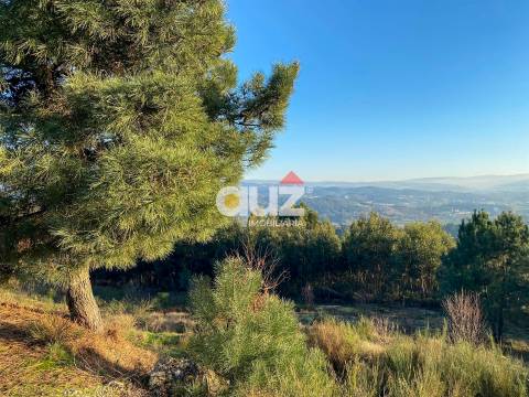 Terreno Rústico  Venda em Travanca,Amarante
