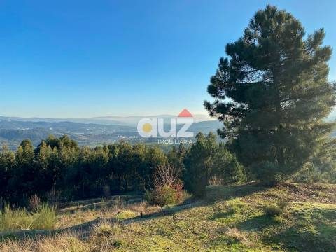 Terreno Rústico  Venda em Travanca,Amarante