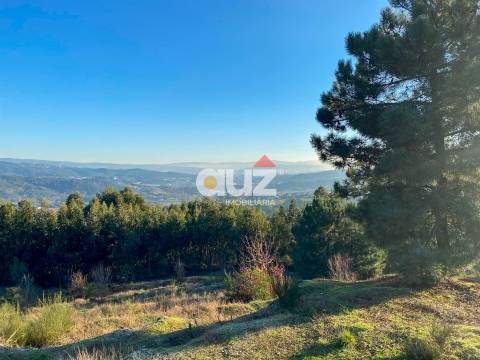 Terreno Rústico  Venda em Travanca,Amarante