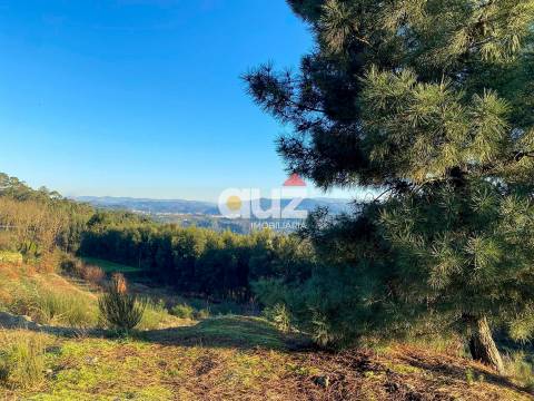 Terreno Rústico  Venda em Travanca,Amarante