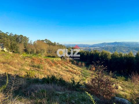 Terreno Rústico  Venda em Travanca,Amarante