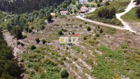 Terreno Rústico  Venda em Travanca,Amarante