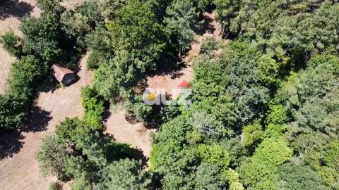 Terreno  Venda em Gouveia (São Simão),Amarante