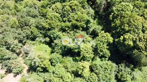 Terreno  Venda em Gouveia (São Simão),Amarante