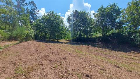 Terreno  Venda em Gouveia (São Simão),Amarante