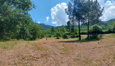 Terreno  Venda em Gouveia (São Simão),Amarante
