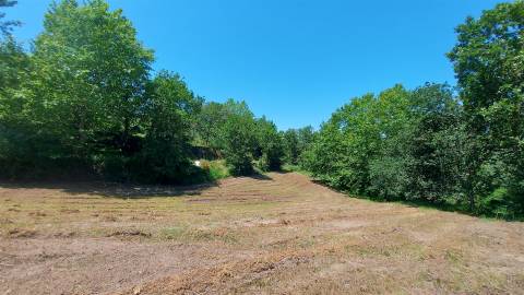 Terreno  Venda em Gouveia (São Simão),Amarante
