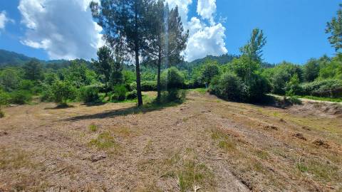Terreno  Venda em Gouveia (São Simão),Amarante